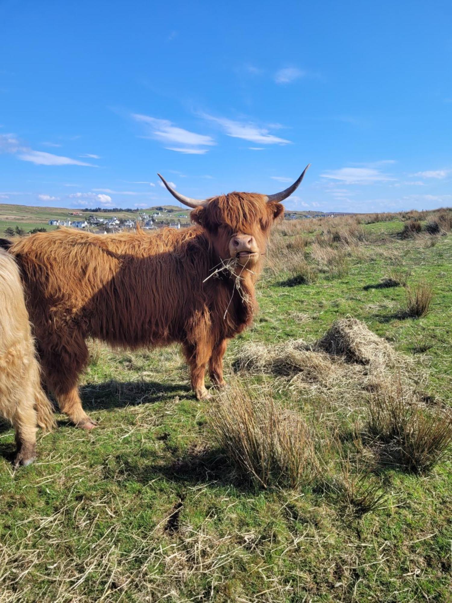 Skye Stays Staffin Esterno foto